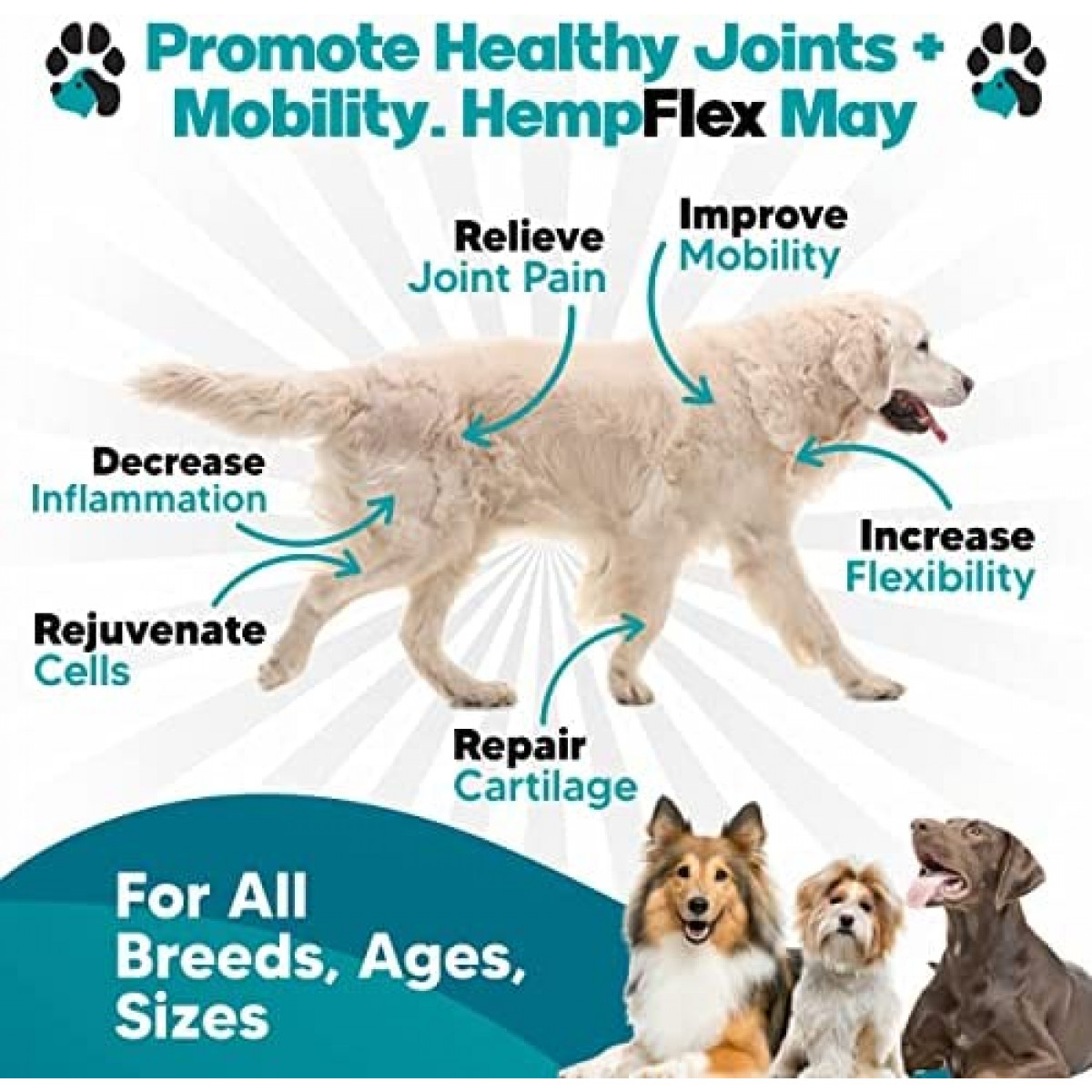 HempFlex - Glucosamine Chondroitin for Dogs - Hemp Oil for Dogs - Safe,  All-Natural Dog Joint Supplement - 120 Mobility Hemp Dog Treats - Hip &  Joint