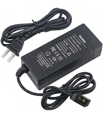 Kastar D-Type Charger with D Tap Cable for Sony BP-U65, BP-U68,V Mount Battery, V Lock Battery, Sony HDW-800P PDW-850 DSR-650P PDW-680 HDW-F900R HDW-800P PMW-F55 PMW-F5 Professional Video Camcorder