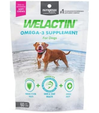 Nutramax Welactin Daily Omega-3 Supplement for Dogs, Skin & Coat Health Plus Overall Health, 60 Soft Chews