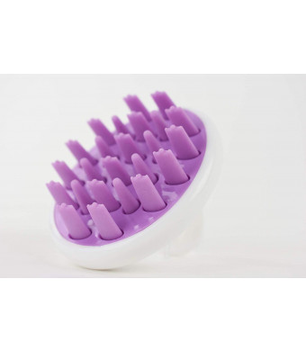 Zyllion Scalp Massager Dandruff Brush - for Exfoliating Treatment, Shampoo Scrubbing, and Hair Growth (Purple)