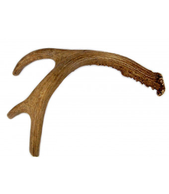 Big Dog Antler Chews - Deer Antler Dog Chew, Medium, 9 Inches to 13 Inches Long. Perfect for Your Medium to Large Size Dogs and Puppies! Grade  A Premium. Happy Dog Guarantee!