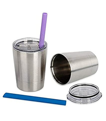 Housavvy Stainless Steel Sippy Cup with Lid and Straw, 8.5 OZ, Set of 2