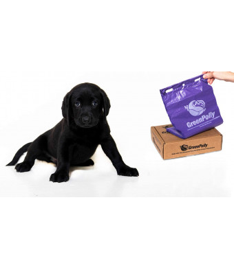 GreenPolly Pet Waste and Dog Poop Bags, Purple, 250 Count