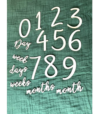 Baby Milestone Numbers|Baby Photo Props Wooden|Newborn Birth Announcement Card Wooden|