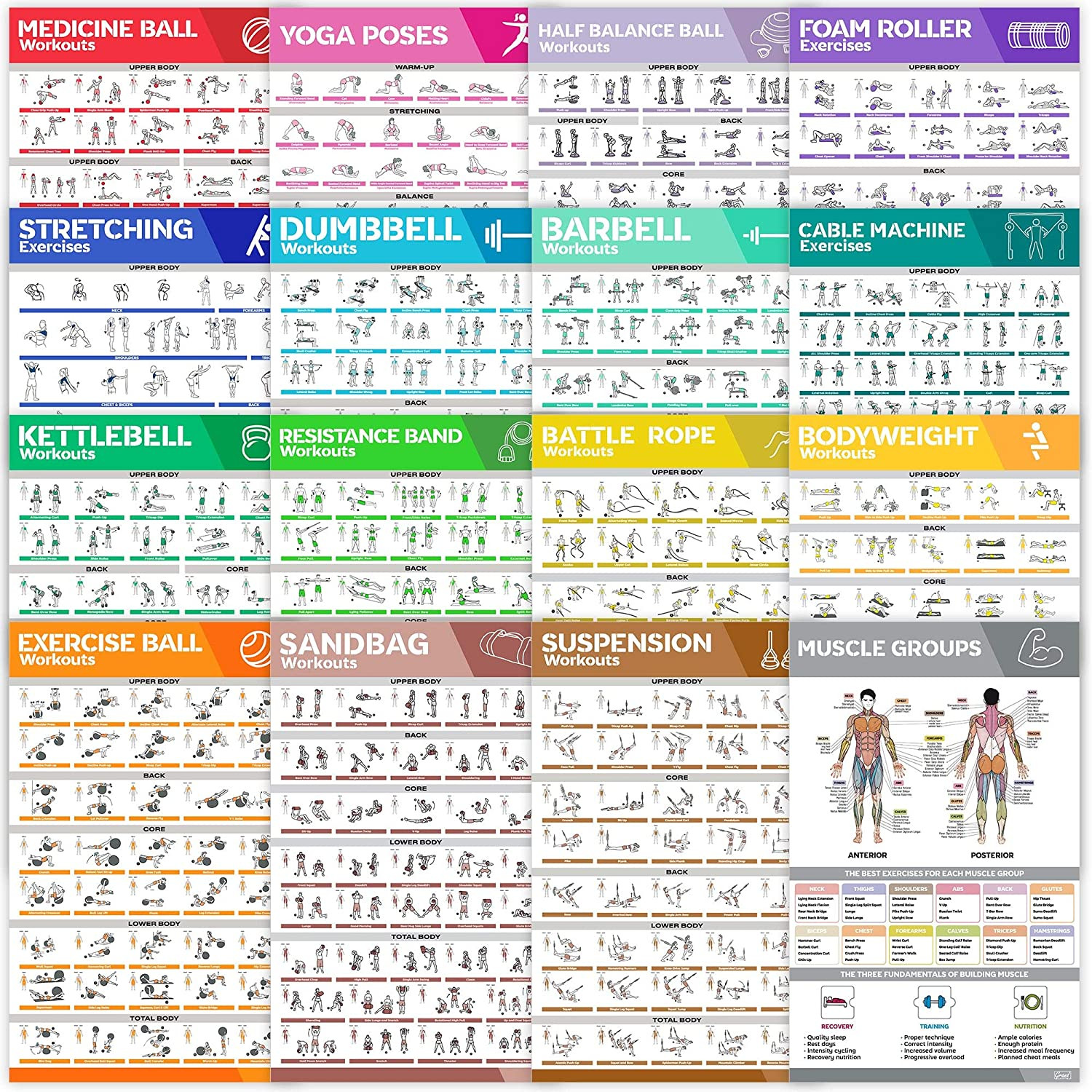 16-PACK Laminated Large Workout Poster Set - Perfect Workout Posters for Home  Gym - Exercise Charts Incl.