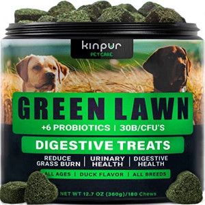 Green Lawn Chews for Dogs - Cranberry, ACV, Digestive Enzymes - Natural Dog Urine Neutralizer for Lawn - Supports Healthy Bladder, Urinary Tract - 180 Tasty Dog Treats for Yellow Burn Grass Spots