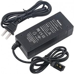 Kastar D-Type Charger with D Tap Cable for Sony BP-U65, BP-U68,V Mount Battery, V Lock Battery, Sony HDW-800P PDW-850 DSR-650P PDW-680 HDW-F900R HDW-800P PMW-F55 PMW-F5 Professional Video Camcorder