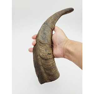 Chews Dried Goat Horns Dog Chew Large 1 pc.