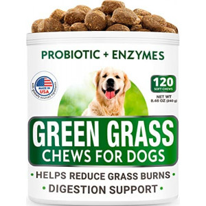 All-Natural Grass Treatment for Dog Urine - Grass Restore Treats for Dogs - Pee Lawn Repair Chews w Probiotics - Dog Urine Neutralizer Solution for Grass Burn Spots - Made in USA - 120 Chews