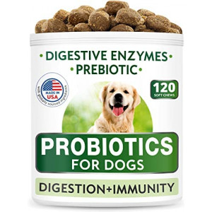 Dog Probiotics Chews - Gas, Diarrhea, Allergy, Constipation, Upset Stomach Relief, with Digestive Enzymes + Prebiotics - Chewable Fiber Supplement - Improve Digestion, Immunity - Made in USA - 120 Ct