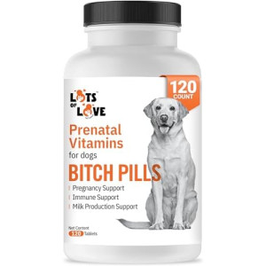 Bitch Pills | Dog Prenatal Vitamins | Prenatal Vitamins for Dogs | Prenatal for Dogs | Thomas Pet Earlier | 120 Tablets