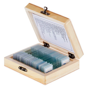 AmScope PS25W Prepared Microscope Slide Set for Basic Biological Science Education, 25 Slides, Includes Fitted Wooden Case