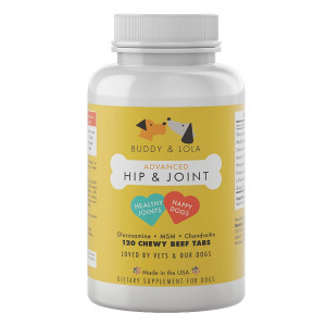 Buddy and Lola Glucosamine for Dogs - 800mg Extra Strength Hip and Joint - 120 Chewable Joint Supplements with MSM for Mobility and Pet Joint Pain Relief