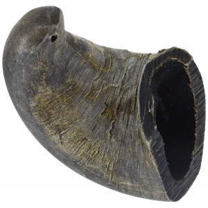 Qt Dog Water Buffalo Horn Treat (1 Each), Small