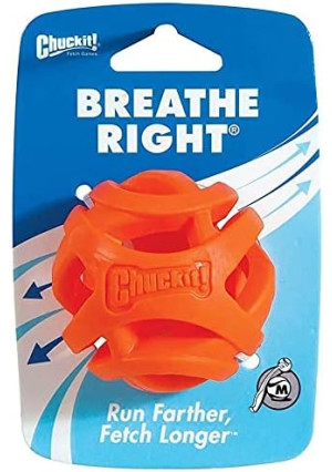 (2 Pack) Chuckit! Breathe Right Fetch Ball (Medium)