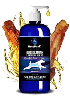 Best Paw Nutrition - Bacon Flavor Liquid Glucosamine for Dogs & Cats - Chondroitin, MSM, Hyaluronic Acid - Dog Arthritis Home Remedy - Joint Supplement for Hip & Joint Pain Relief Pets Love - 16oz