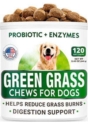 All-Natural Grass Treatment for Dog Urine - Grass Restore Treats for Dogs - Pee Lawn Repair Chews w Probiotics - Dog Urine Neutralizer Solution for Grass Burn Spots - Made in USA - 120 Chews