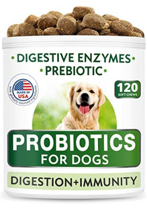 Dog Probiotics Chews - Gas, Diarrhea, Allergy, Constipation, Upset Stomach Relief, with Digestive Enzymes + Prebiotics - Chewable Fiber Supplement - Improve Digestion, Immunity - Made in USA - 120 Ct