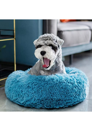 Labpepet Dog Beds, Round Puppy Bed for Small Dogs Cat Washable, Donut Warm Pet Bed Fluffy and Soothing Anti-Anxiety Plush Bed