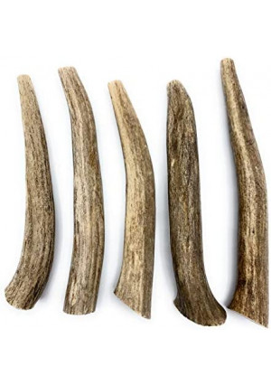 Deer Antlers for Dogs, Premium, Grade A, Deer Antler Dog Chew, Long Lasting Dog Treat for Your Pet. from The USA (5-Pack, Small, Long)