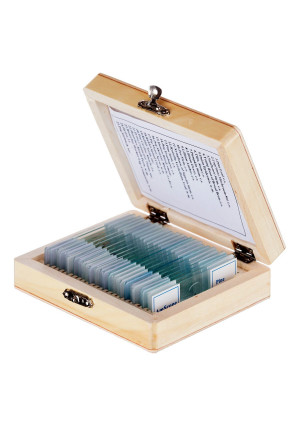 AmScope PS25W Prepared Microscope Slide Set for Basic Biological Science Education, 25 Slides, Includes Fitted Wooden Case