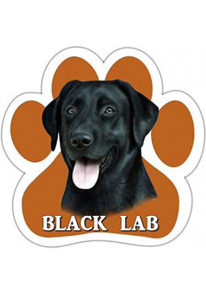 Black Lab Car Magnet With Unique Paw Shaped Design Measures 5.2 by 5.2 Inches Covered In UV Gloss For Weather Protection