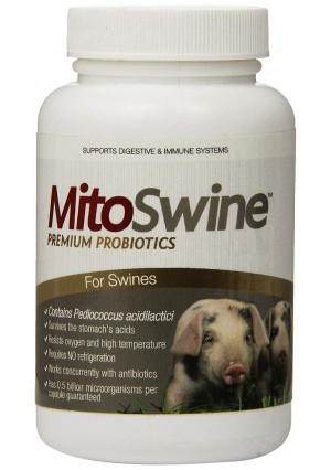 Imagilin Technology, LLC MitoSwine Premium Pediococcus Based Probiotics and Prebiotics for Pigs, 150 Capsules Per Bottle