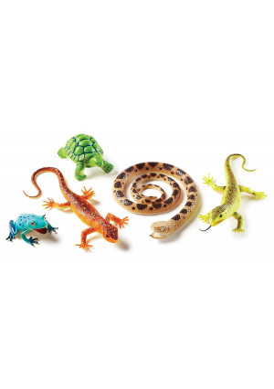 Learning Resources Jumbo Reptiles and Amphibians I Tortoise, Gecko, Snake, Iguana, and Tree Frog, 5 Animals