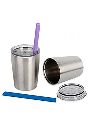 Housavvy Stainless Steel Sippy Cup with Lid and Straw, 8.5 OZ, Set of 2