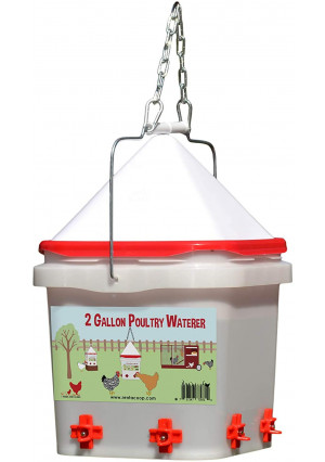 RentACoop 2 Gallon Chicken Waterer - Horizontal Nipple Setup (4 Nipple Corner)