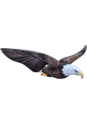 Jet Creations Inflatable American Bald Eagle Stuffed Animal  soar on Wings, Ideal for Safari or Wildlife Theme Parties, Favors, and Decorations, Size 38 inch, an-Eagle